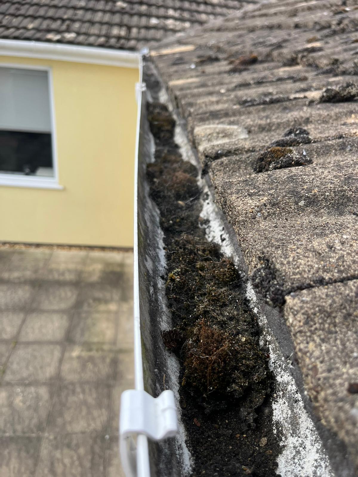 Before gutter cleaning
